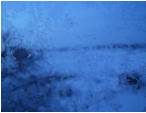Eiskristalle